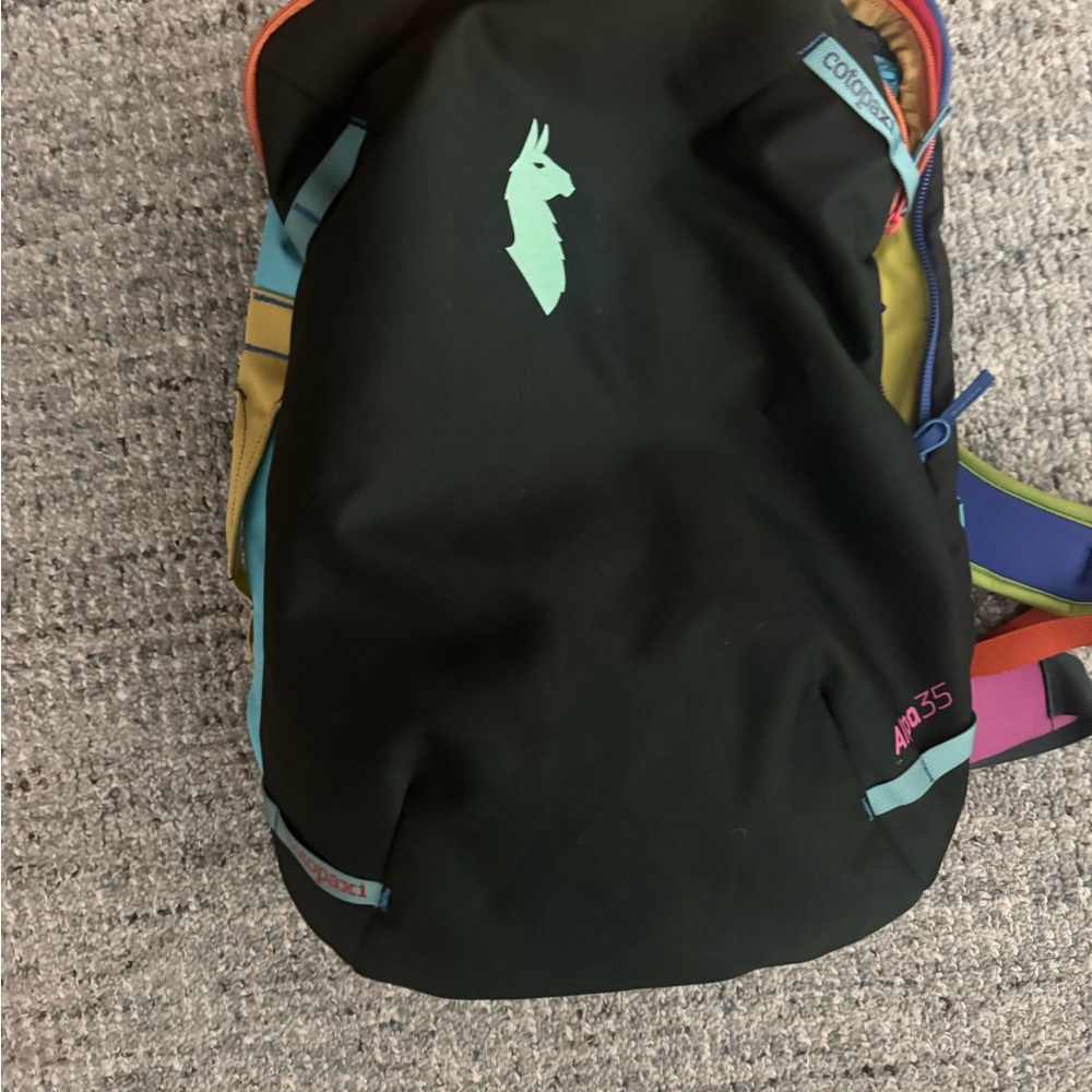 Cotopaxi Del Dio Multicolor Backpack - image 3